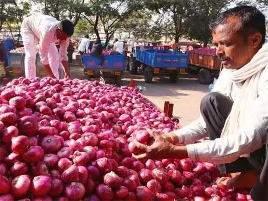 प्याज का निर्यात घटेगा – बांग्लादेश से आयात पर 10 प्रतिशत शुल्क – जिले के उत्पादक चिंतित