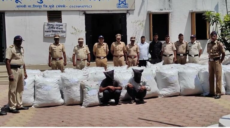शिरपूर तालुक्यात पोलिसांची कारवाई: जंगलात लपवलेला तब्बल 70 लाखांहून अधिक किंमतीचा गांजा हस्तगत; दोन आरोपी अटकेत