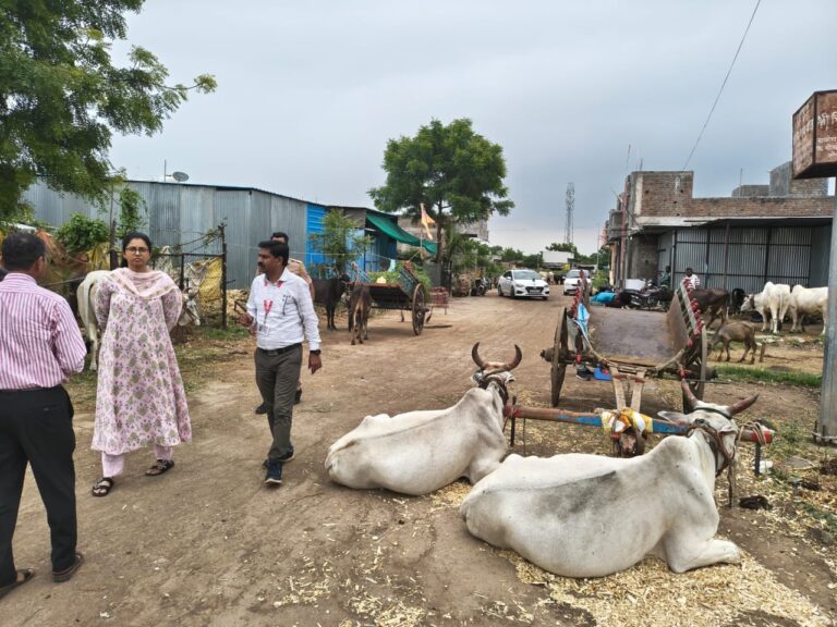 लम्पी स्किन डिसीज नियंत्रणासाठी जिल्हा परिषद मुख्य कार्यकारी अधिकारी मीनल करनवाल यांचा पारोळा तालुक्यात दौरा.