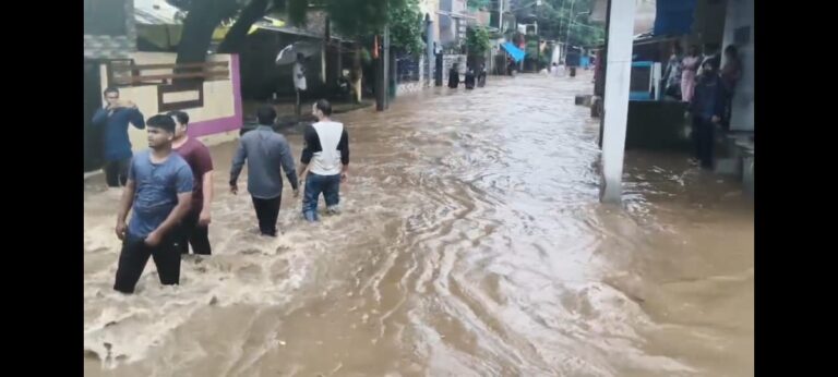 नवापूर तालुक्यात मुसळधार पावसाने हाहाकारनदी-नाले,रस्ते  जलमय.