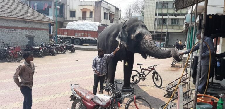 क्या महाराष्ट्र सरकार जनता के मुद्दों से ध्यान भटका रही है?