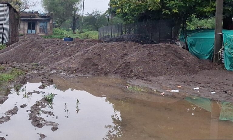 वावडे येथे सर्रासपणे वाळू उपसा; प्रशासनाचे दुर्लक्ष?