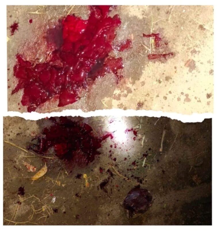 माथेफिरूने मध्यरात्री केली तरुणाची निर्घृण हत्या; नवरात्रोत्सवाच्या पहाटेच शहरात खळबळ.