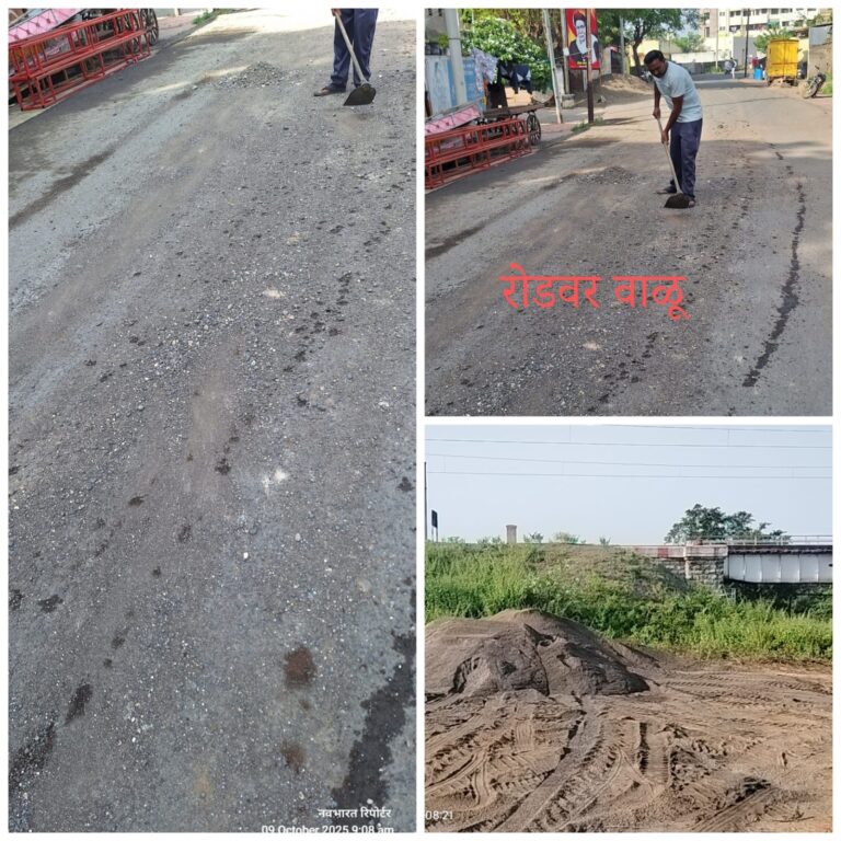 पांझरा नदीत वाळू उपसा पुन्हा सुरु; महसूल विभागाचे दुर्लक्ष, माफियांना वरदहस्ताची चर्चा.