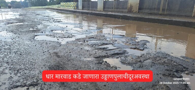अमळनेर शहरातील साने गुरुजी उड्डाणपुलावर मोठ्या प्रमाणावर खड्डे – सार्वजनिक बांधकाम विभाग आणि रेल्वे प्रशासनाने तात्काळ लक्ष द्यावे!